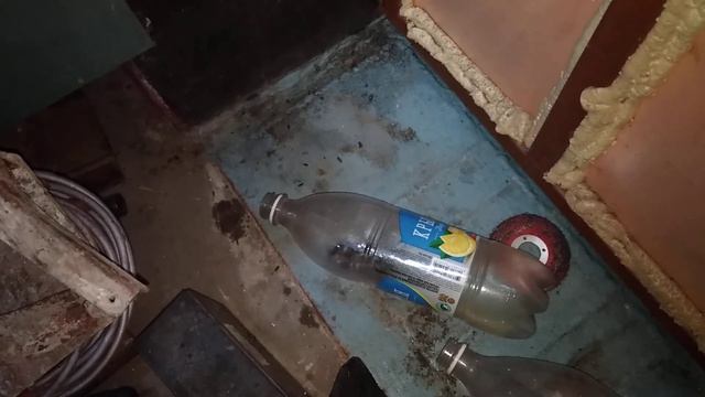 КАК ПОЙМАТЬ МЫШКУ В ДОМАШНИХ УСЛОВИЯХ смотреть онлайн