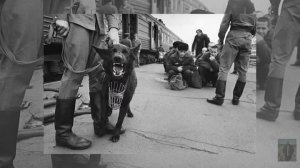 Зоны . Тюрьмы . Пересылки ... исп Алексей Гуркин ...