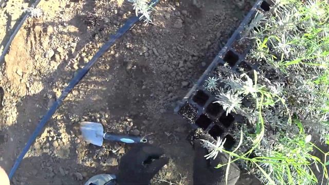 Жонглирование с Огнем и Световыми Эффектами