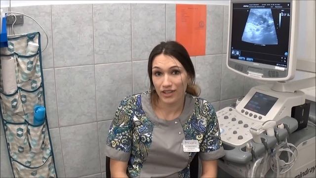 26.01.18 Собака не ест и стала менее активной смотреть онлайн