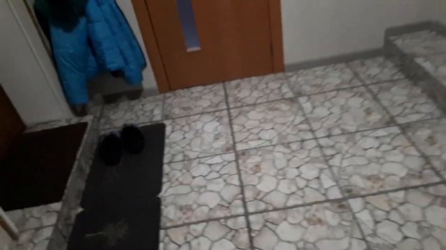 ЧТО ТО ПРОИСХОДИТ С ОРХИДЕЯМИ/МУМИЯ ИЗТУРЦИИ смотреть онлайн