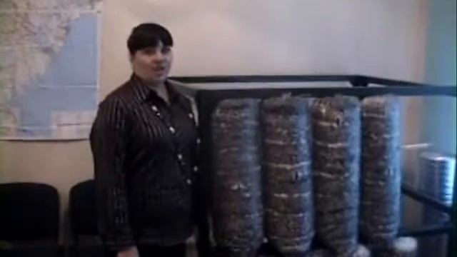 инкубация 1.wmv смотреть онлайн