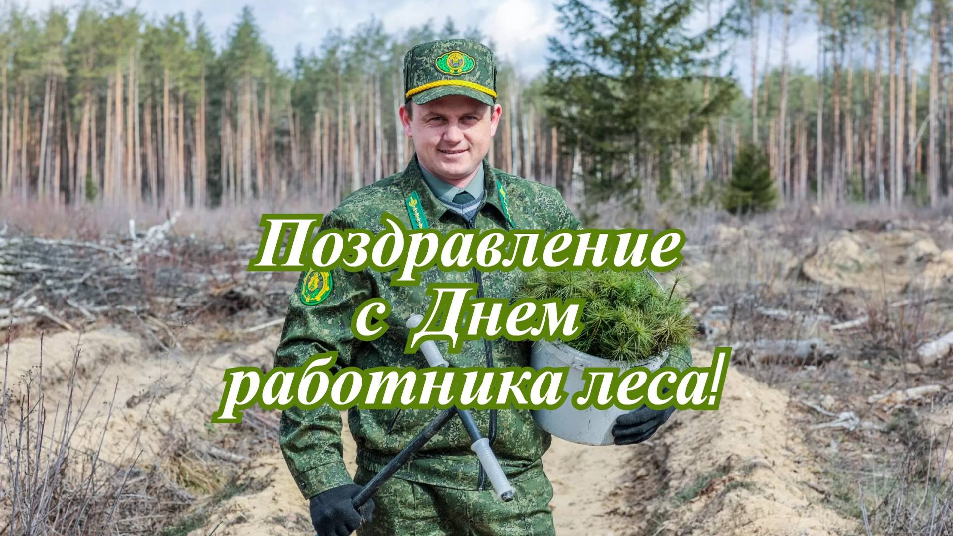 Музыкальная открытка: "Поздравление с Днем работника леса!" смотреть онлайн