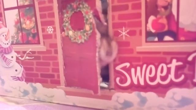 Сказка"Сон Куки и Хомки" смотреть онлайн