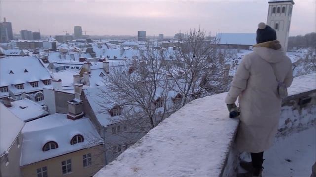 Wintry Tallinn viewed from Toompea Hill смотреть онлайн