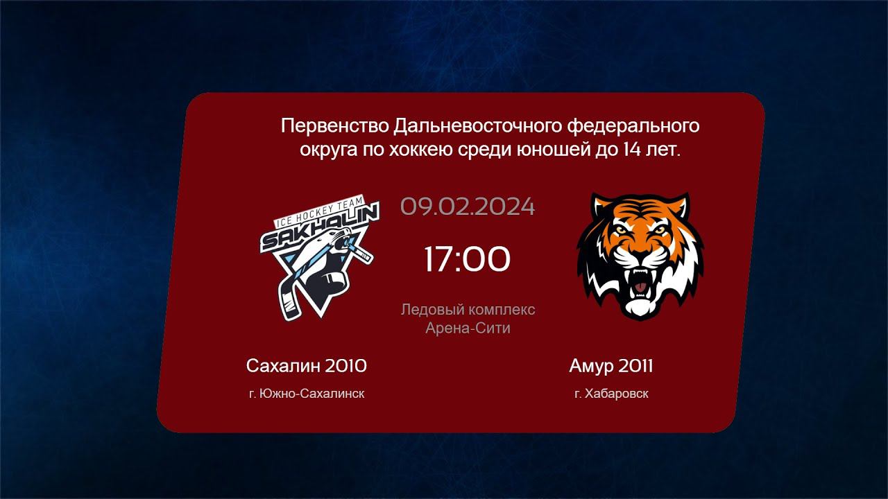 Хоккей, ДФО . "Сахалин 2010" - "Амур 2011". смотреть онлайн