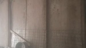 Отключили свет - как подогреть инкубатор 📌📌📌