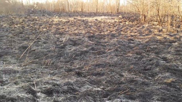 Начало есть, осмотр территории! смотреть онлайн