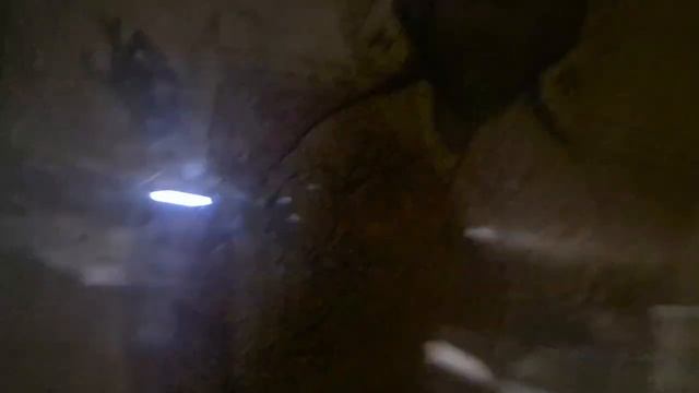 Образы веры