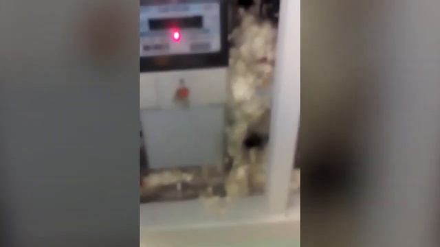 Спасение кота, застрявшего в монтажной пене смотреть онлайн