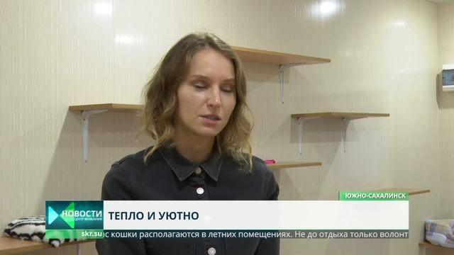 Комнаты для кошек отремонтировали в приюте "Пёс и кот" смотреть онлайн