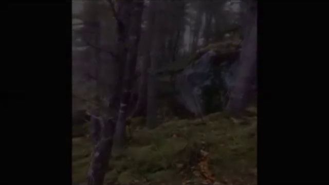 Камереға түсіп қалған табиғаттың адам сенгісіз ғажап құбылыстар. ТОП смотреть онлайн