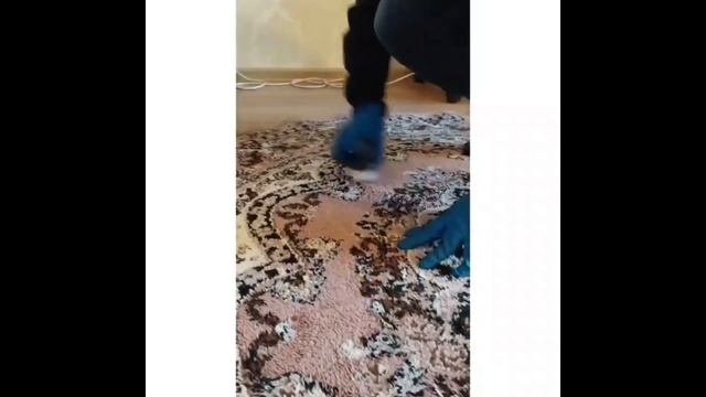 Химчистка ковров Омск смотреть онлайн