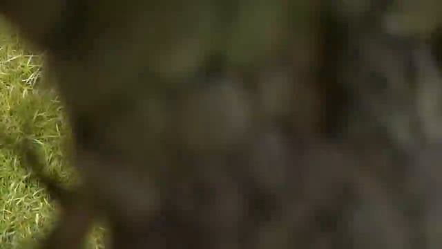 неопознанный летательный аппарат