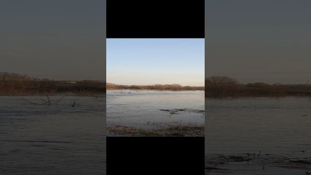 Самарская Область Отрадный 2024. потоп. смотреть онлайн