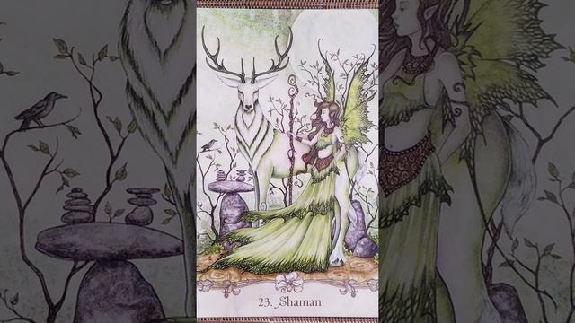 Shaman (23) ? Fairy Wisdom Oracle card meaning смотреть онлайн