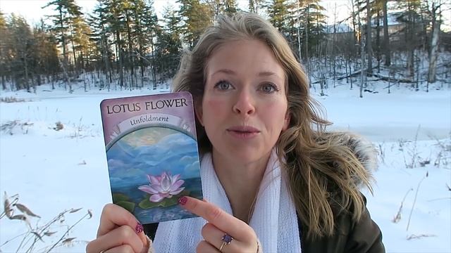 NEW YEAR 2019 ☆ YOU ARE FULLY SUPPORTED ☆ Oracle Card Reading & Numerology смотреть онлайн