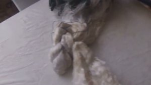 Сети для рыбалки, что можно купить в интернет магазинах, небольшой обзор Китайских сеток