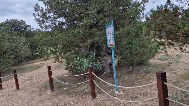 Флора и фауна Нового Света в Крыму 14 июня 2023г смотреть онлайн
