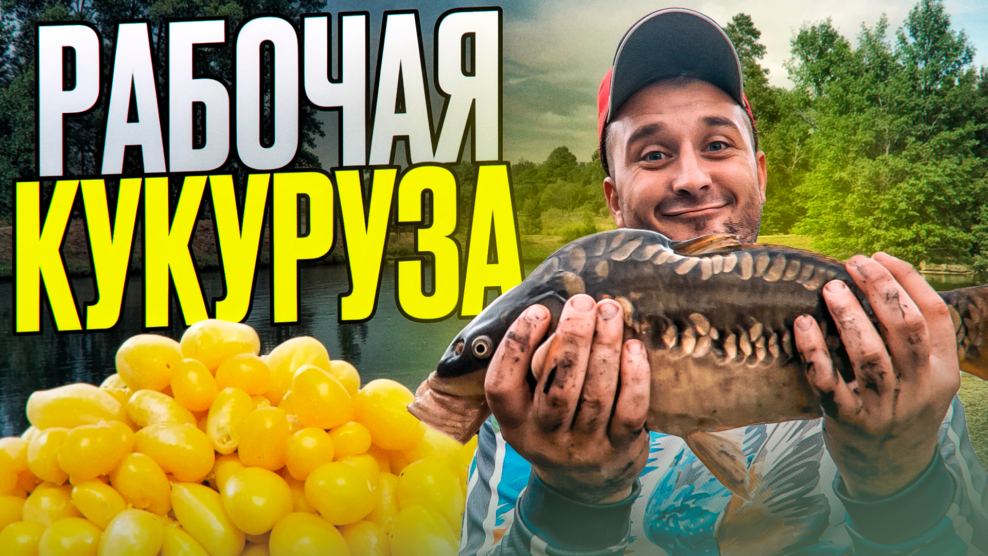 Как приготовить уловистую кукурузу! смотреть онлайн