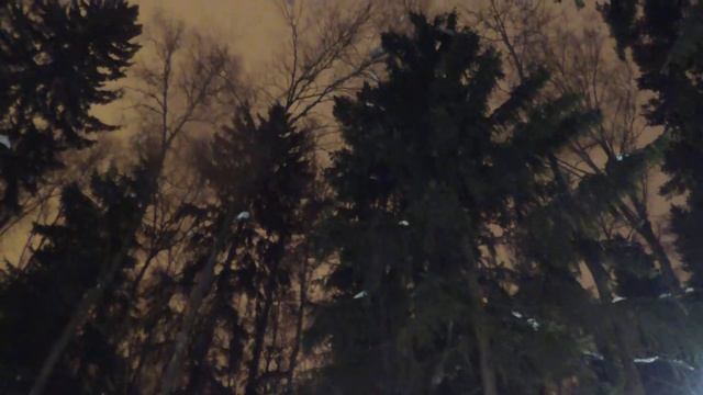 Звук пролета самолета вдалеке, вороны каркают, ночь,зима смотреть онлайн