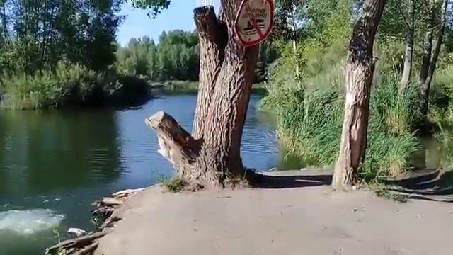 Кажыгали Аманбек смотреть онлайн