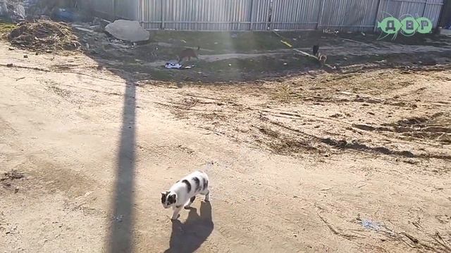 Один из моих дней в Харькове 2022! смотреть онлайн