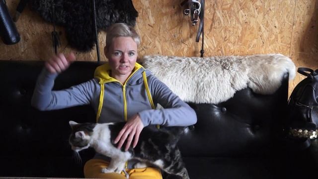 Быть на коне/О пользе верховой езды. смотреть онлайн