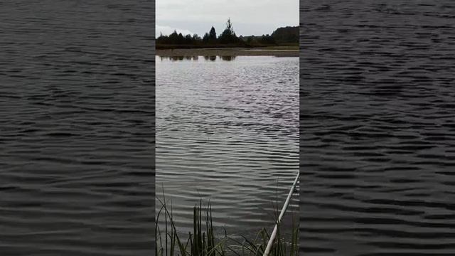 Карасевое озеро смотреть онлайн