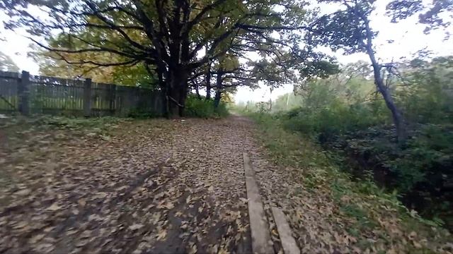 Город Апшеронск... Первый лес, Второй лес и улицы...[07.10.2021] смотреть онлайн