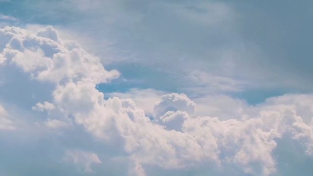 Томас Франк ? Как не быть вечно уставшим смотреть онлайн