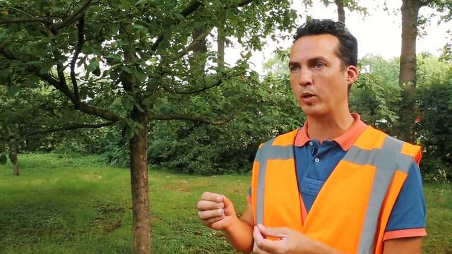 Hoe werkt de aanleg van glasvezel tot in uw woning смотреть онлайн