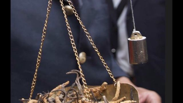 Ophiocordyceps Sinensis (Cordyceps Sinensis) All Illnesses, Energy, Sleeping Patterns, Appetitie