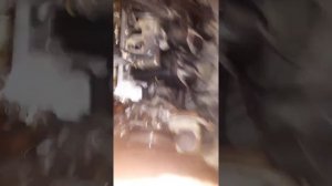 установка цепи ГРМ на мазда 6 гг 2007 г. ДВС 1.8