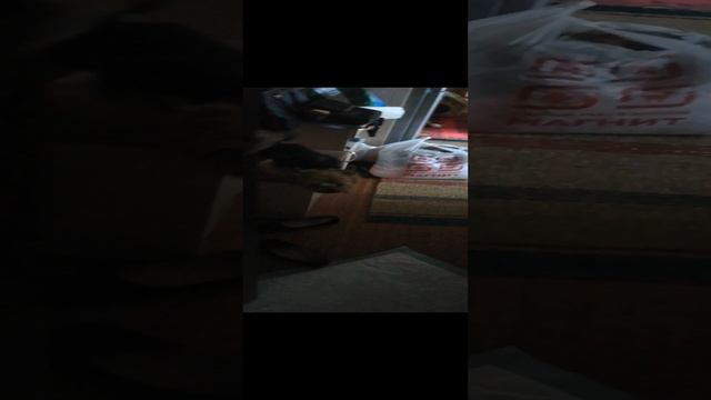 Радость от встречи