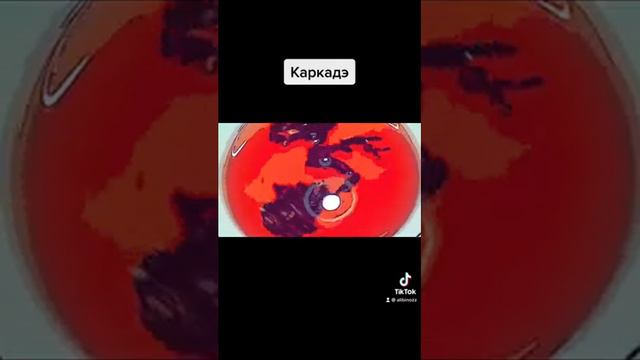 Hibiscus/Каркадэ/tea Dancehibiscus Tea Benefits