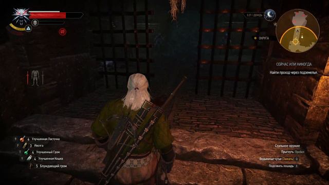 #41 Witcher 3 Wild Hunt - Сейчас или никогда смотреть онлайн