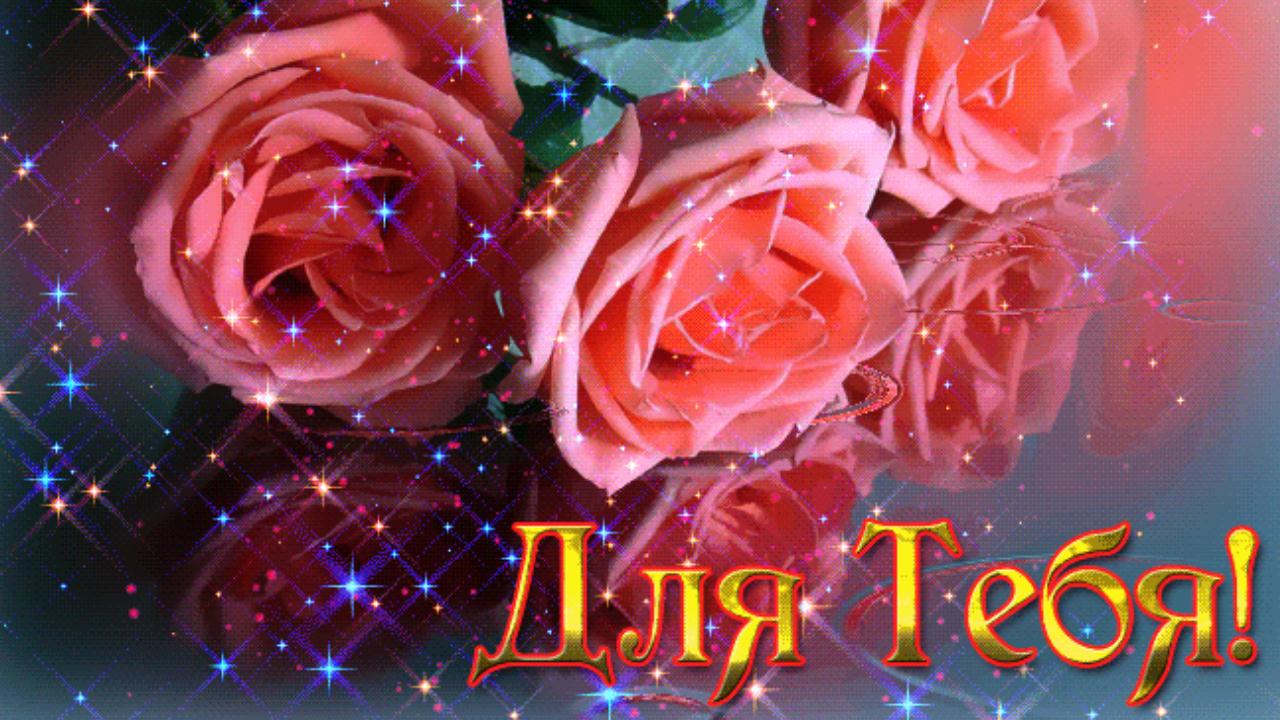 Красивые Розы для Тебя! Оригинальная открытка поздравление для Женщины с Днем Рождения смотреть онлайн