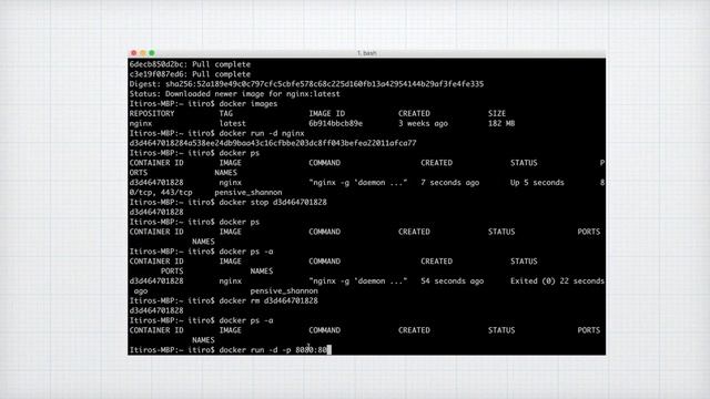 Comandos do Docker Container na Prática para os SysAdmins e Desenvolvedores! смотреть онлайн