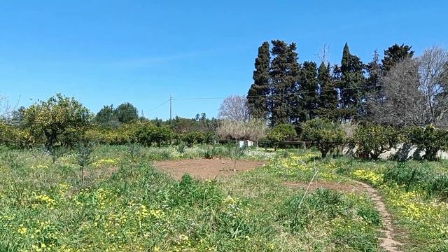 52. Уходим (на Апельсиновый хутор), но не прощаемся! смотреть онлайн