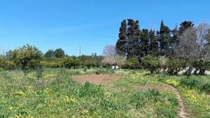 52. Уходим (на Апельсиновый хутор), но не прощаемся!