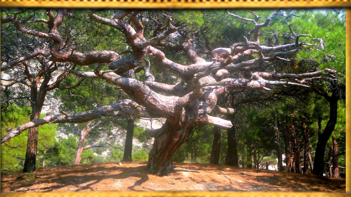 №13. Летний Вело-Крым-2011, УРОЧИЩЕ АЯЗЬМА - КАМЕНЬ ЖОПА.