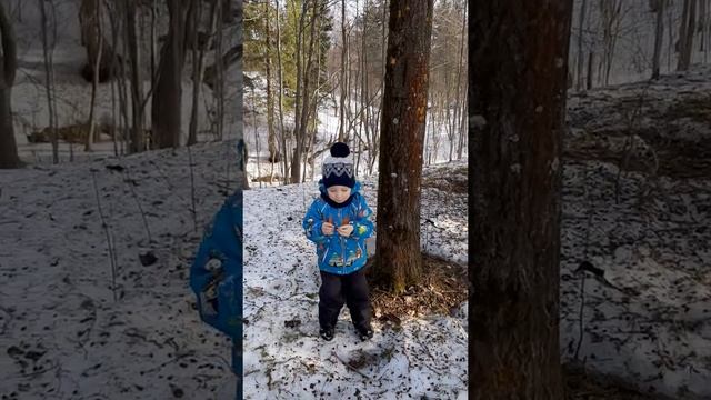 Там, где мох - сторона северная ;) смотреть онлайн