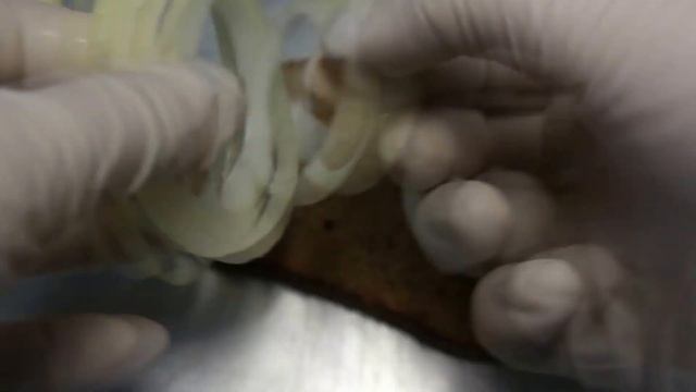 Бутерброд с луком (Onion sandwich) смотреть онлайн