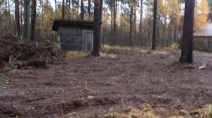 БЕСПЛАТНЫЙ СПОСОБ  как утилизировать выкорчеванные корни на участке.