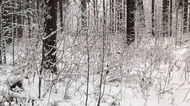 ЗНАЛ, ЧТО ЖЕНА ДРУГА НАСТАВЛЯЕТ ЕМУ РОГА, И МОЛЧАЛ. Интересные поучительные истории и аудио рассказ смотреть онлайн