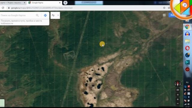 Google Карты наблюдение и мысли. Варварская вырубка леса и загадочная сетка. смотреть онлайн