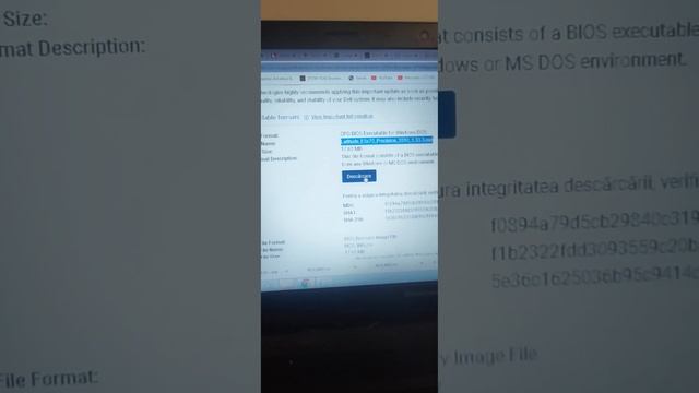 DELL NO BOOT DEVICE after Bios Update 1.34.3 QUICK FIX 100% смотреть онлайн