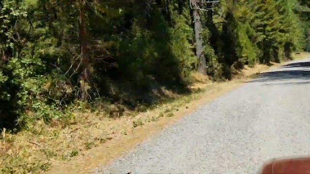 Oregon Rocks!: Rockhounding Oregon| South Umpqua Falls and Zinc Creek Geodes смотреть онлайн