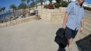 Йорик на море? Говорящая собака йоркширский терьер Буся встречает Анюту